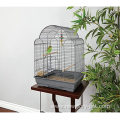 16.5 inch Parakeet Scallop Top Cage